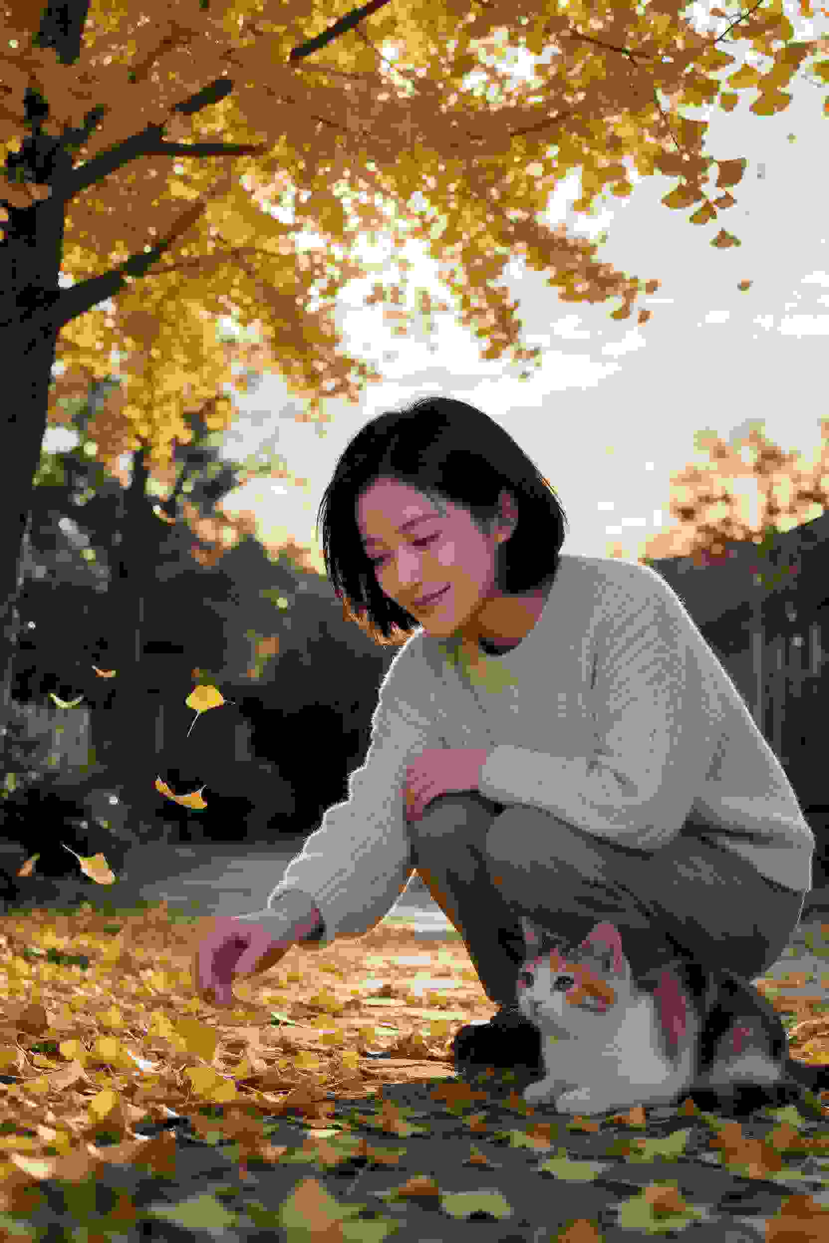 龙珠
